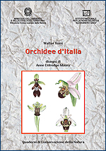 Immagine-copertina della pubblicazione 'Quaderni di Conservazione della Natura n. 15 - Orchidee d'Italia'