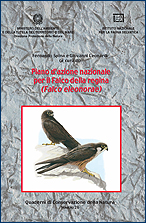 Immagine-copertina della pubblicazione 'Quaderni di Conservazione della Natura n. 26 - Piano d’azione nazionale per il Falco della Regina (Falco Eleonorae)'