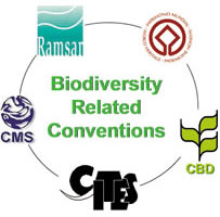 Immagine Biodiversity Related Conventions