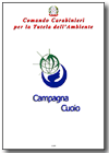 Campagna Cuoio 2004