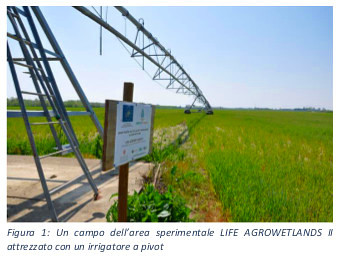 Figura 1: Un campo dell’area sperimentale LIFE AGROWETLANDS II attrezzato con un irrigatore a pivot