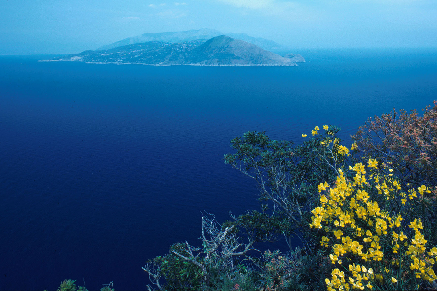 Punta Campanella vista da Capri (NA). Foto: A. Nardi, Panda Photo; Ministero della transizione ecologica (già Ministero dell’ambiente e della tutela del territorio e del mare)