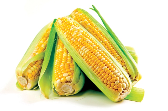 OGM, Galletti: Favorevoli a riapertura discussione anche per garantire a Stati possibilità di divieto