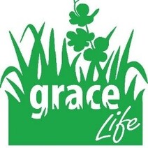 Progetto LIFE_GRACE: “Utilizzo dei pascoli per la loro conservazione” (LIFE19 GIE/IT/000977)
