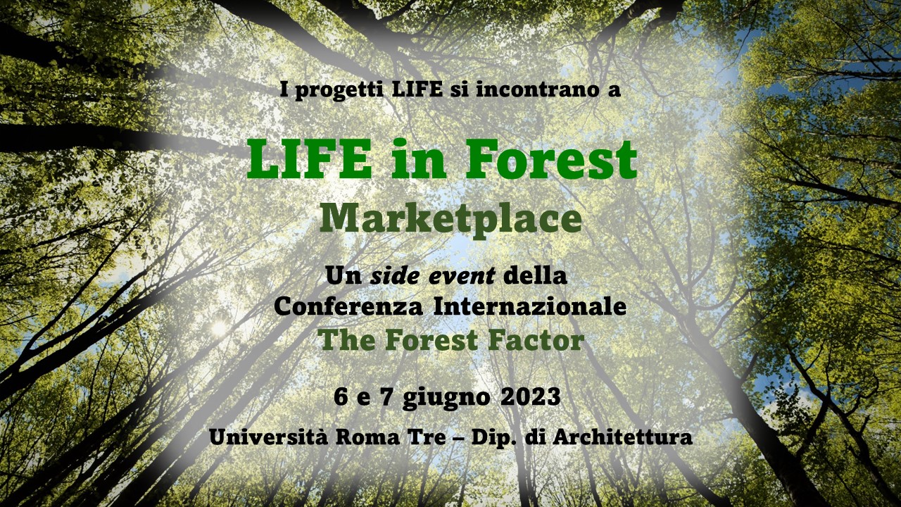 “LIFE in Forest Markeplace”, side event della Conferenza internazionale “The Forest Factor” – Roma, 6-7 giugno 2023.